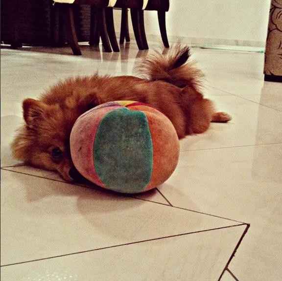princesa