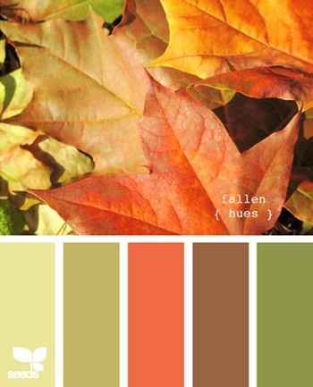 cores outono