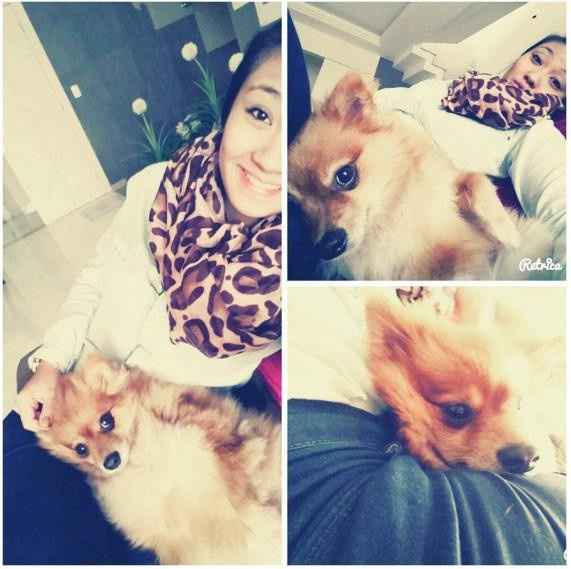 meu amor
