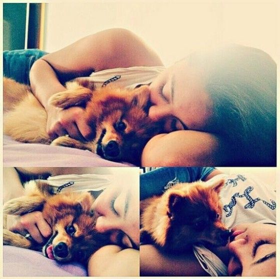 meu amor