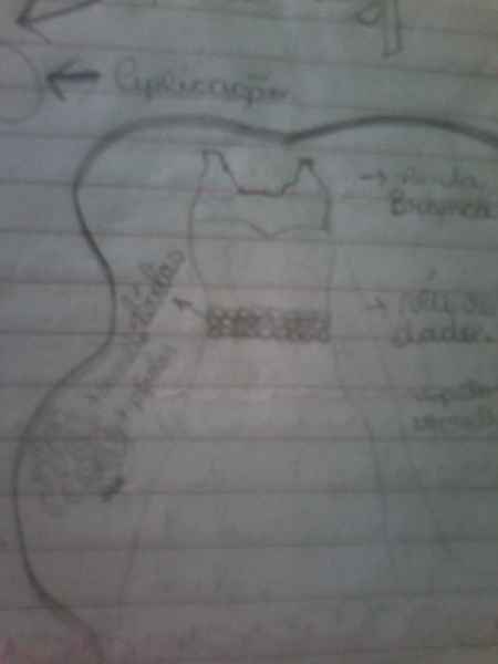 Vestido desenhado 