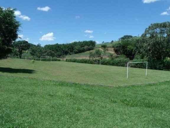 AREA VERDE