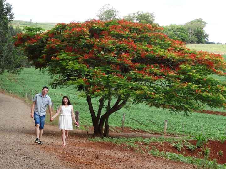amor #4anos