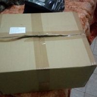 A louca das compras online