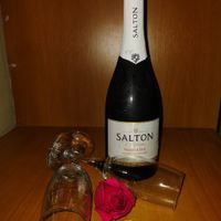 Se a sua cerimônia terminasse em brinde com sua bebida preferida: qual seria? 🥂 - 1