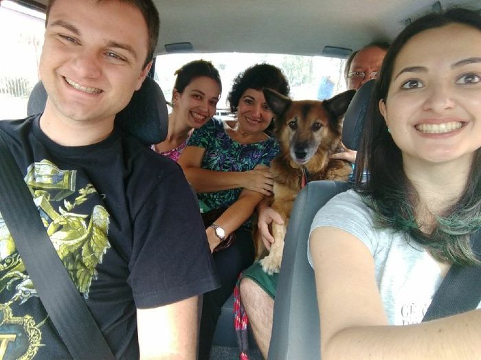  Quem não levou o pet pra casa nova? - 4