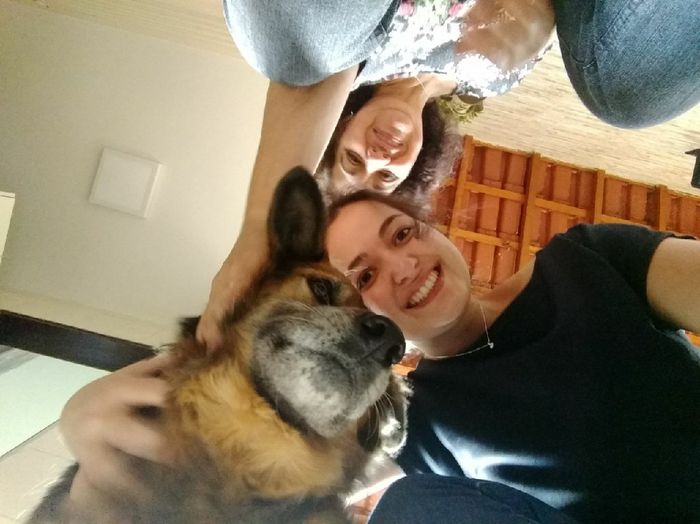  Quem não levou o pet pra casa nova? - 6