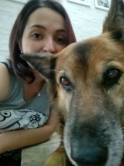  Quem não levou o pet pra casa nova? - 8