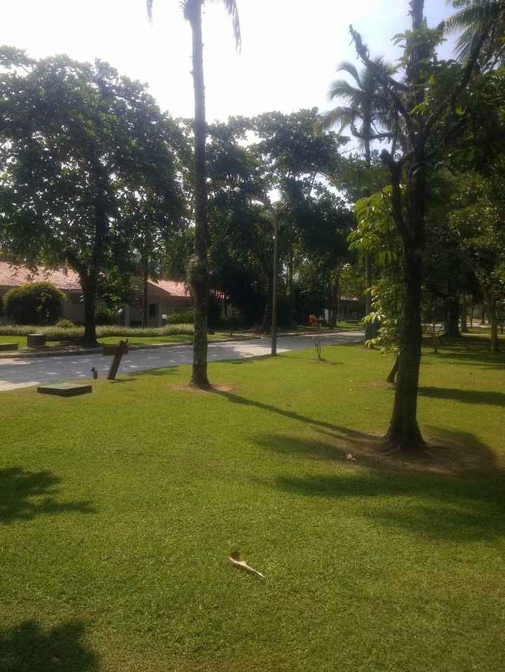 Área - Sesc Bertioga