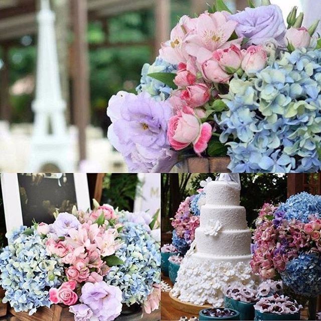 Rosa e azul