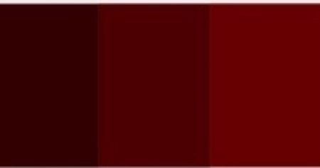 Paleta marsala