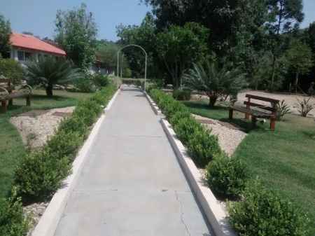 Local