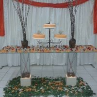 Casamento da Minha Vó - 4