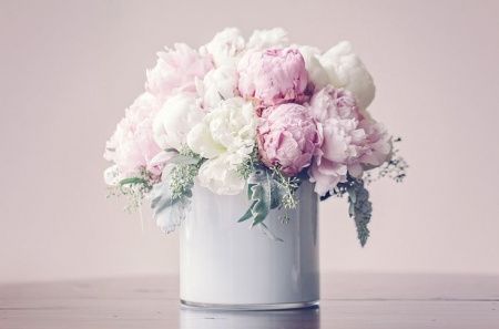 PEONIA