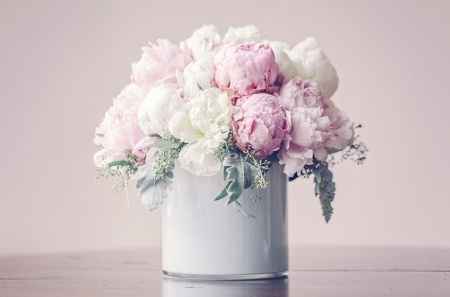 PEONIA