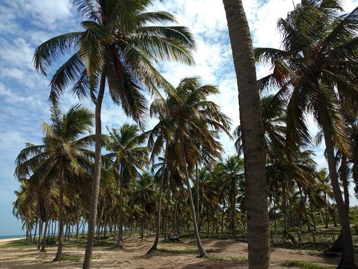 Nossa Lua de Mel - Maceió 4
