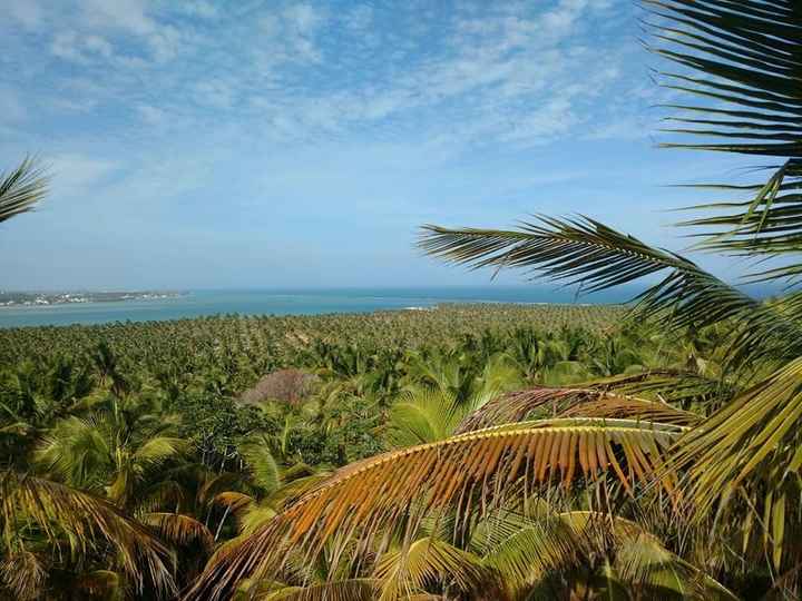 Mirante - Praia do Gunga 