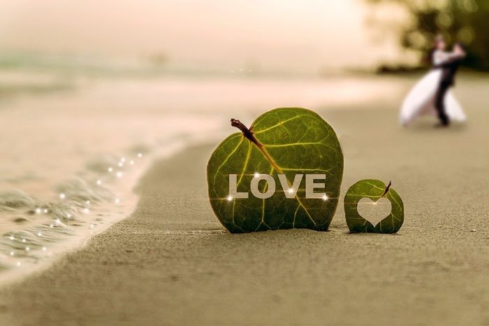 "Love Is In The Air" 