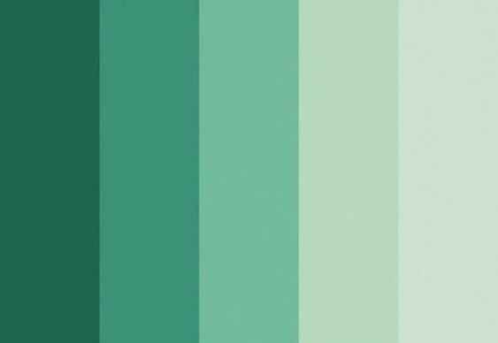 Cores do casamento - 2