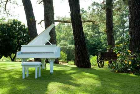 Piano em Casamento