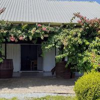 DECORAÇÃO: flores naturais ou artificiais? - 1