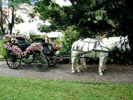 Chegada da noiva - 1