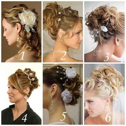 Qual o mais bonito?