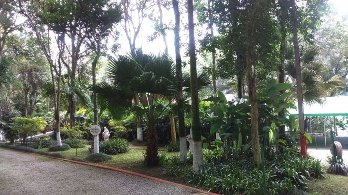 Chácara Floresta