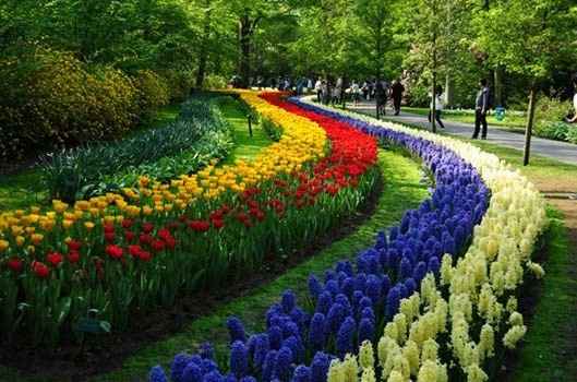 Jardim em Holambra