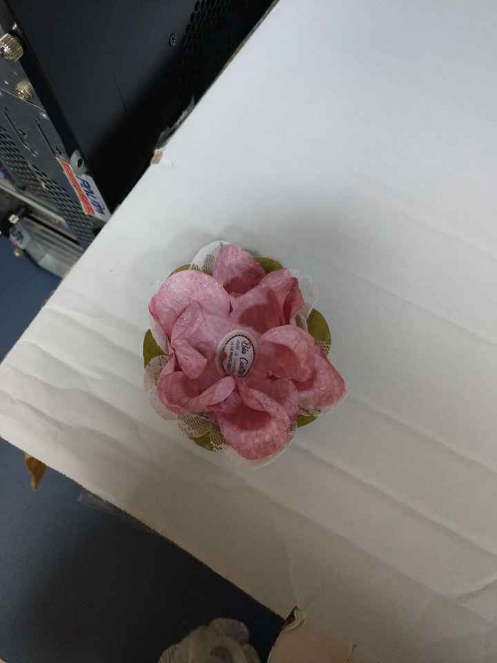 Cor de rosa 
