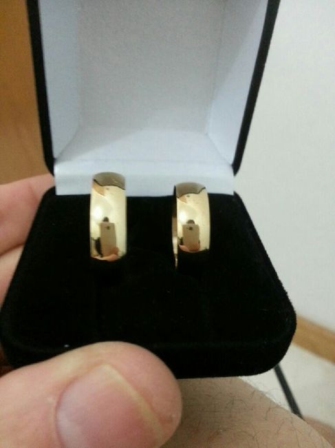 Meu noivado surpresa - 9