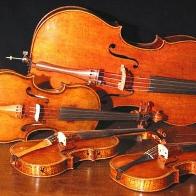 Contratamos os Músicos! 🎻🥰 1