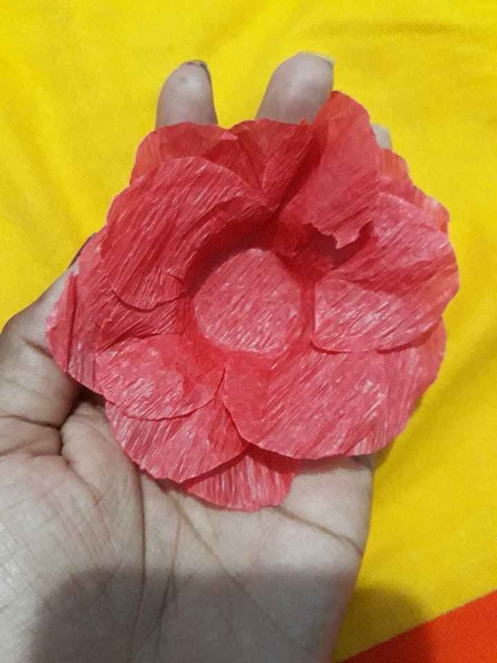  Diy's - 1