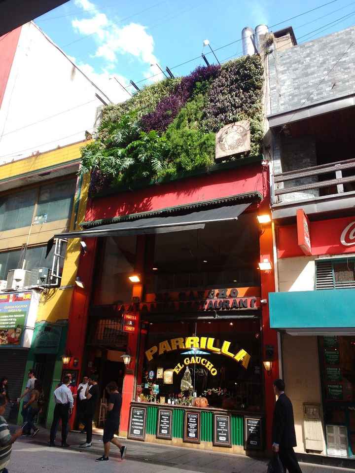 El gaucho
