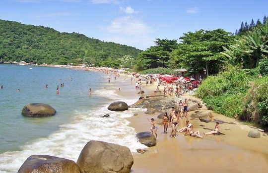 Santa catarina