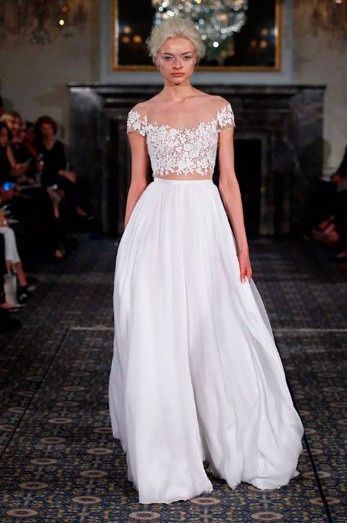 Cropped + saia