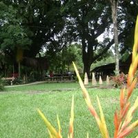 Area Externa