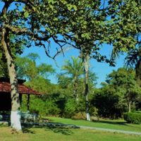 Noivos que se casam  em 25 de Maio de 2019 em Mato Grosso - 1