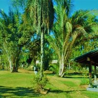 Noivos que se casam  em 25 de Maio de 2019 em Mato Grosso - 4