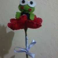 meu buque de sapo