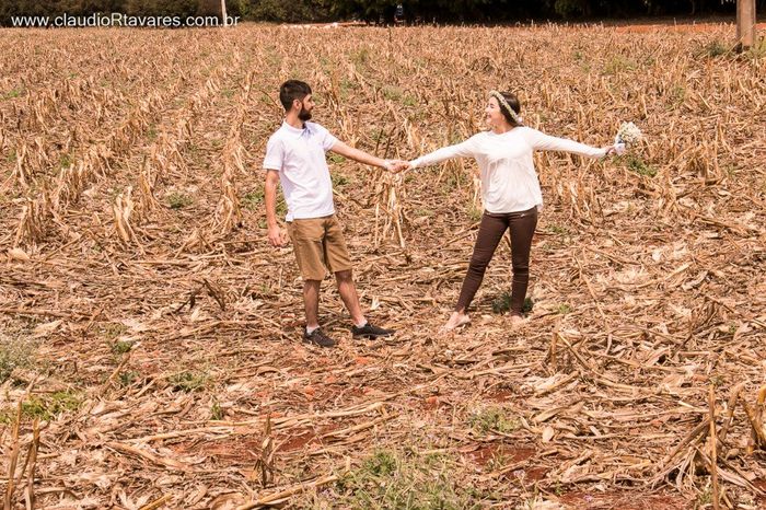 plantação de milho