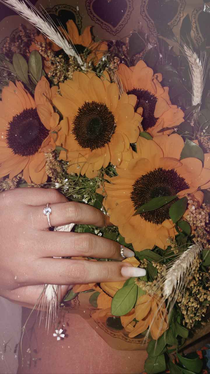Pedido de casamento - 1