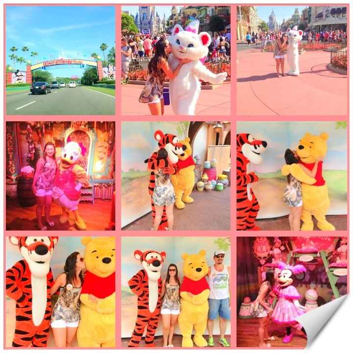 Magic Kingdom 