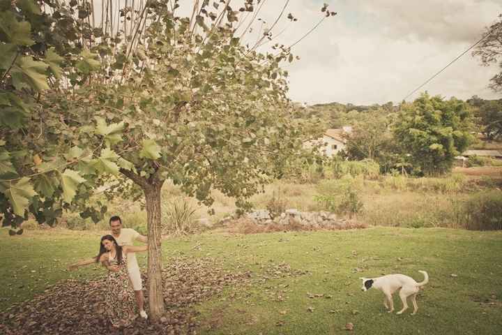 pre wedding