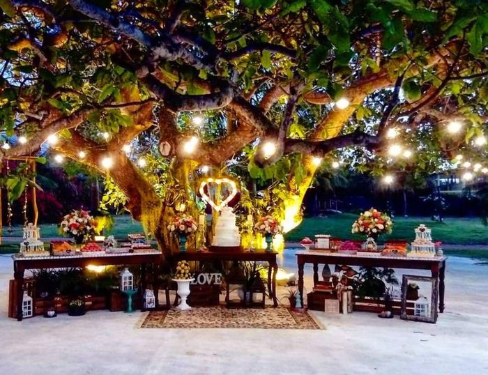 Espaço do meu casamento ❤️ - 12