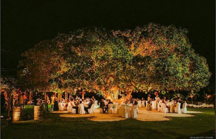 Espaço do meu casamento ❤️ - 13