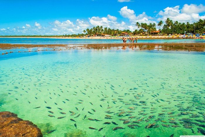 Porto de galinhas - IPOJUCA/PE