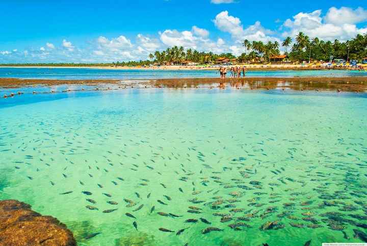 Porto de galinhas - IPOJUCA/PE