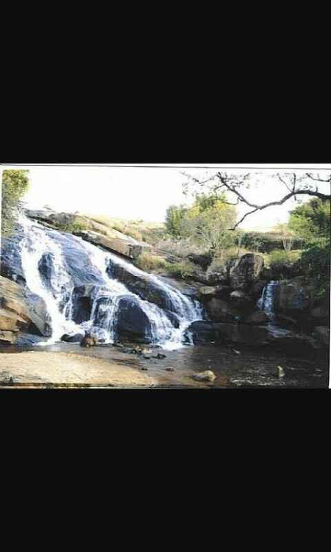 Lua de mel em lambari-mg - 4