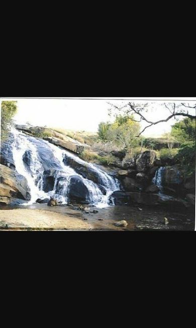 Lua de mel em lambari-mg - 4